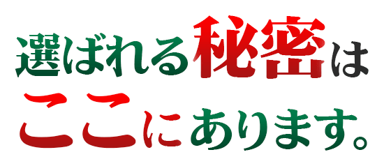49.8万円~のお墓づくり