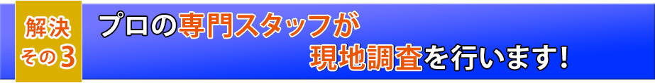 解決その2　プロの専門スタッフが現地調査を行います！