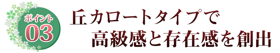 Point03 丘カロートタイプで高級感と存在感を創出