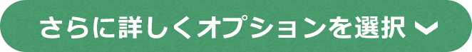 さらに詳しくオプションを選択