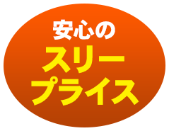 分かりやすい安心のスリープライス