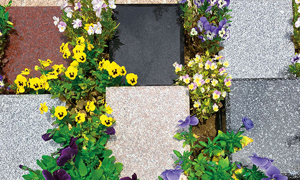 観音聖地霊園 樹木葬一人墓