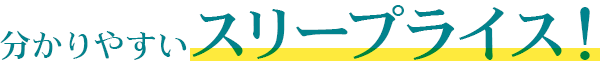分かりやすいスリープライス！