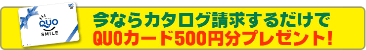 QUOカード500円分プレゼント