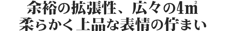 伝統とモダンを組み合わせた威風漂う洋型墓石