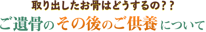 取り出したお骨はどうするの？？ご遺骨のその後のご供養について