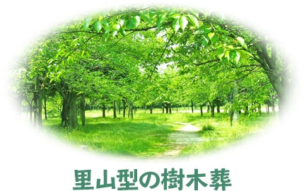 里山型の樹木葬