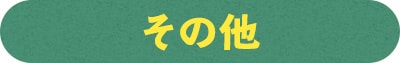 追加オプション