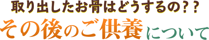 取り出したお骨はどうするの？？その後のご供養について