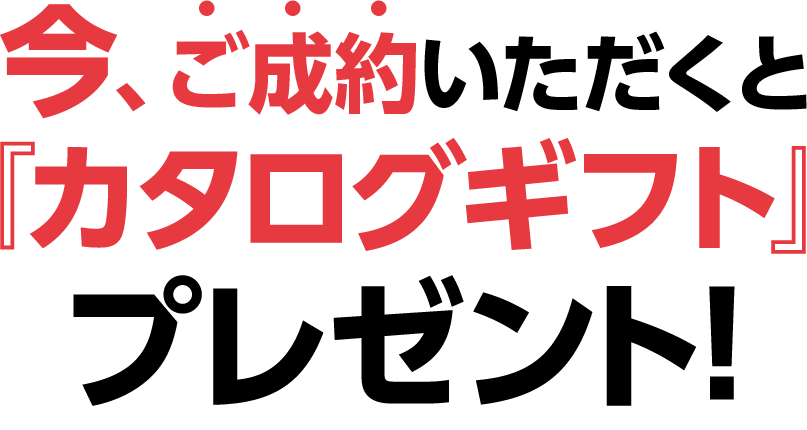 小さな森の樹木葬白井 今、ご成約いただくと カタログギフト